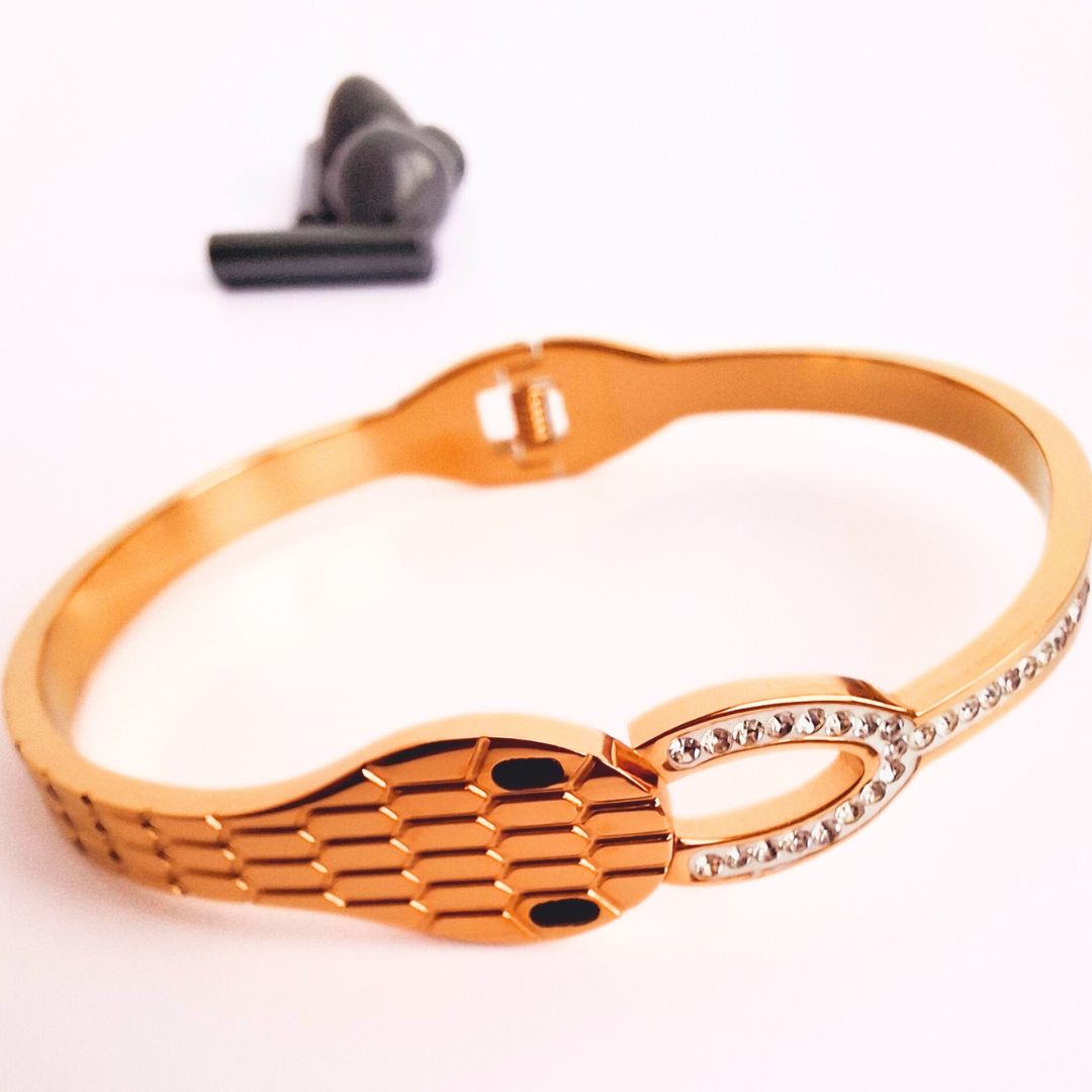 Golden Snake Charmer Stainless Steel Bangle Bracelet